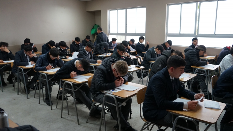 Rendimiento Pruebas de Nivel