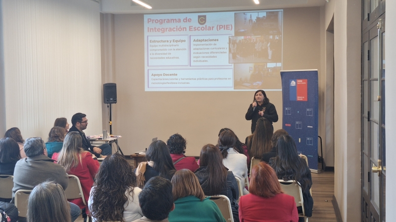 Coordinadora PIE presenta en jornada regional sobre Ley de Autismo
